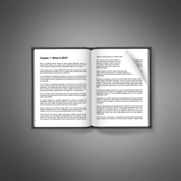 SEO Domination ebook product