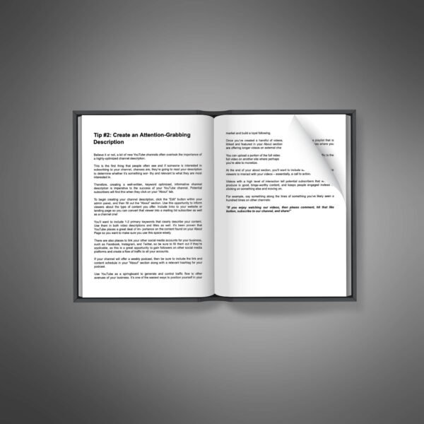 YouTube Quick Start2 YouTube Quick Start ebook cover